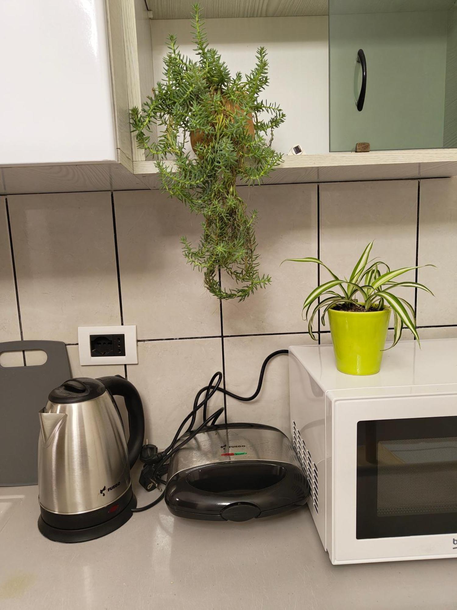 Erli Apartment Szkodra Zewnętrze zdjęcie